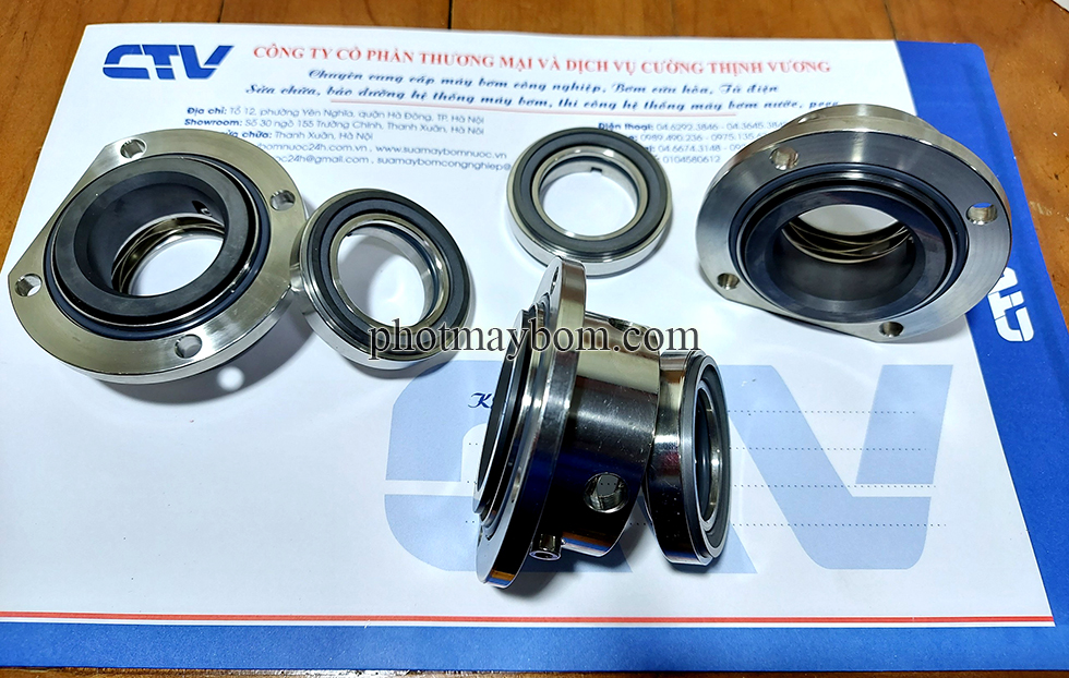 Phớt máy bơm Lobe máy bơm thực phẩm