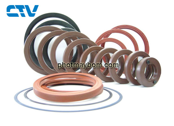 Phớt máy bơm nước chính hãng, giá rẻ cho mọi nhà