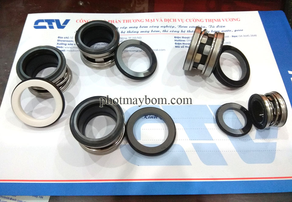Phớt máy bơm trục ngang bơm Ebara, Teral model phớt BW3