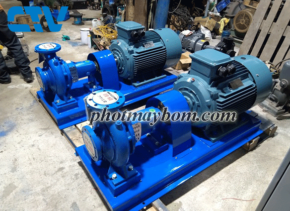 Cường Thịnh Vương cho thuê máy bơm đầu rời Tại Hà Nội