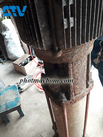 Sửa máy bơm trục đứng khi bị cháy động cơ