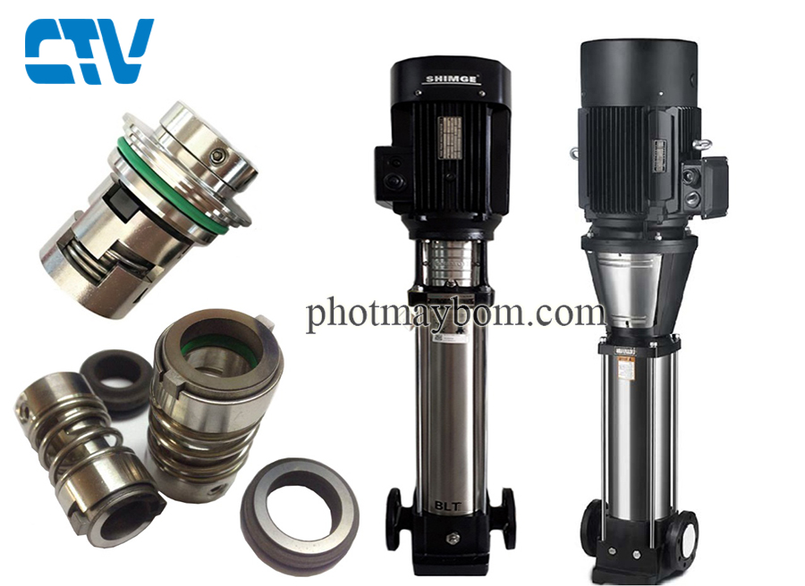 Phớt trục đứng máy bơm Shimge BLT 4 - 16