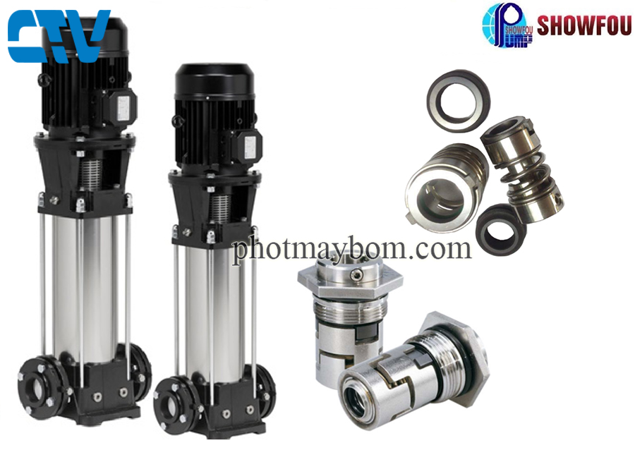 Phớt trục đứng ShowFou CDLF 2