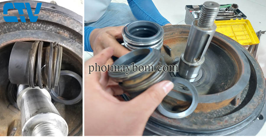 Thay phớt bơm công nghiệp nhanh chóng, chuyên nghiệp tại Hà Nội